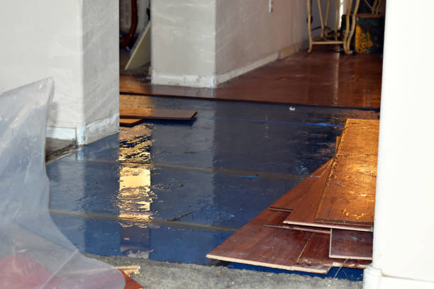 Professional Basement Flood Cleanup technician working in Annville, PA